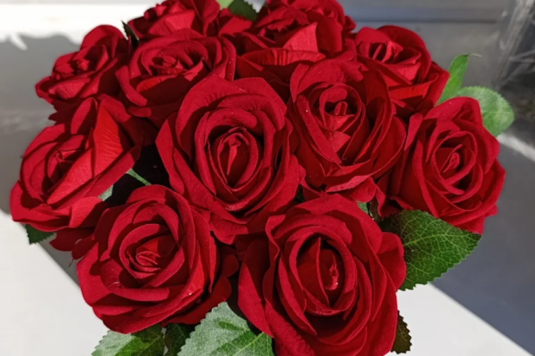 adsız tasarım (11)